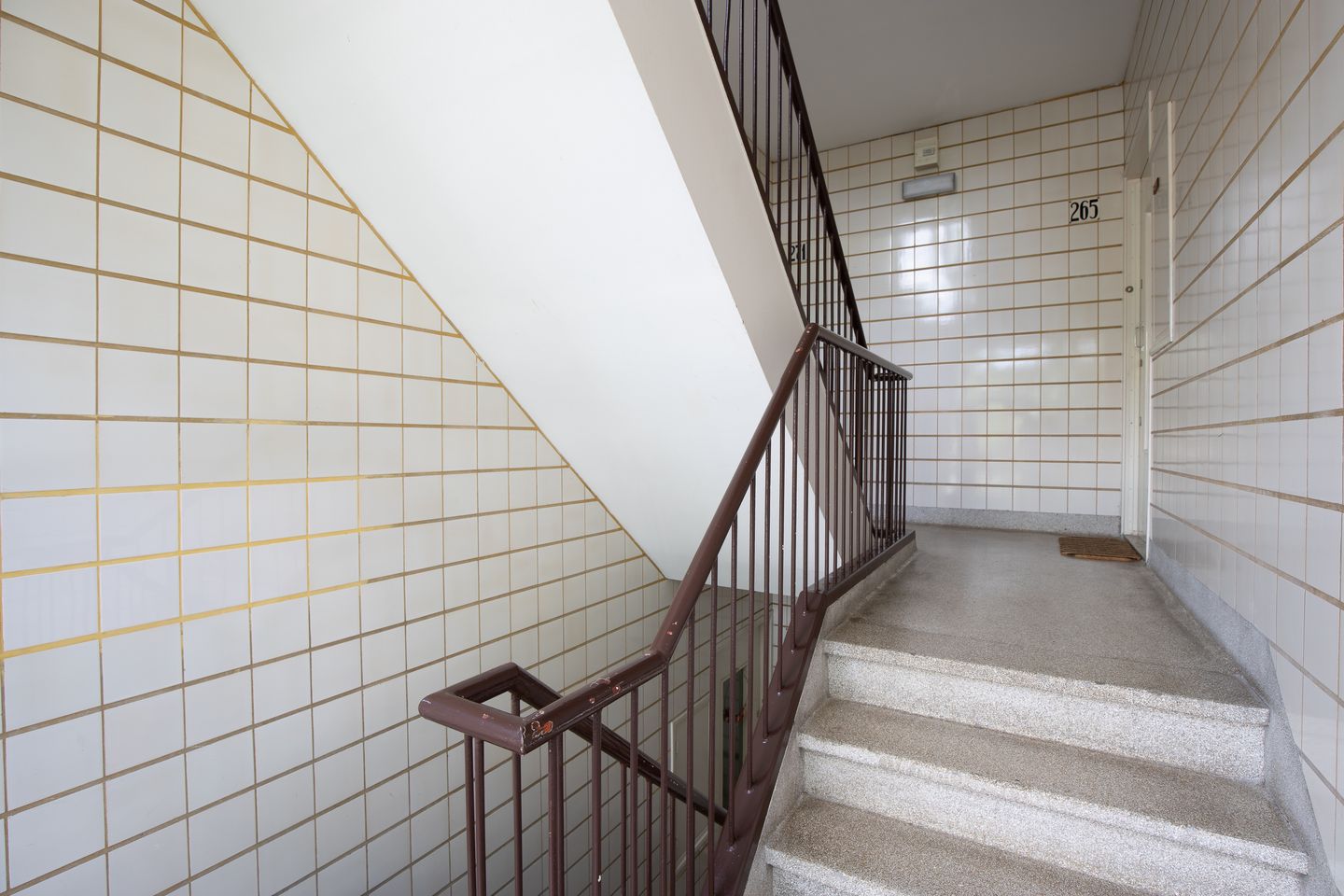 Foto 25 van Theresiastraat 265