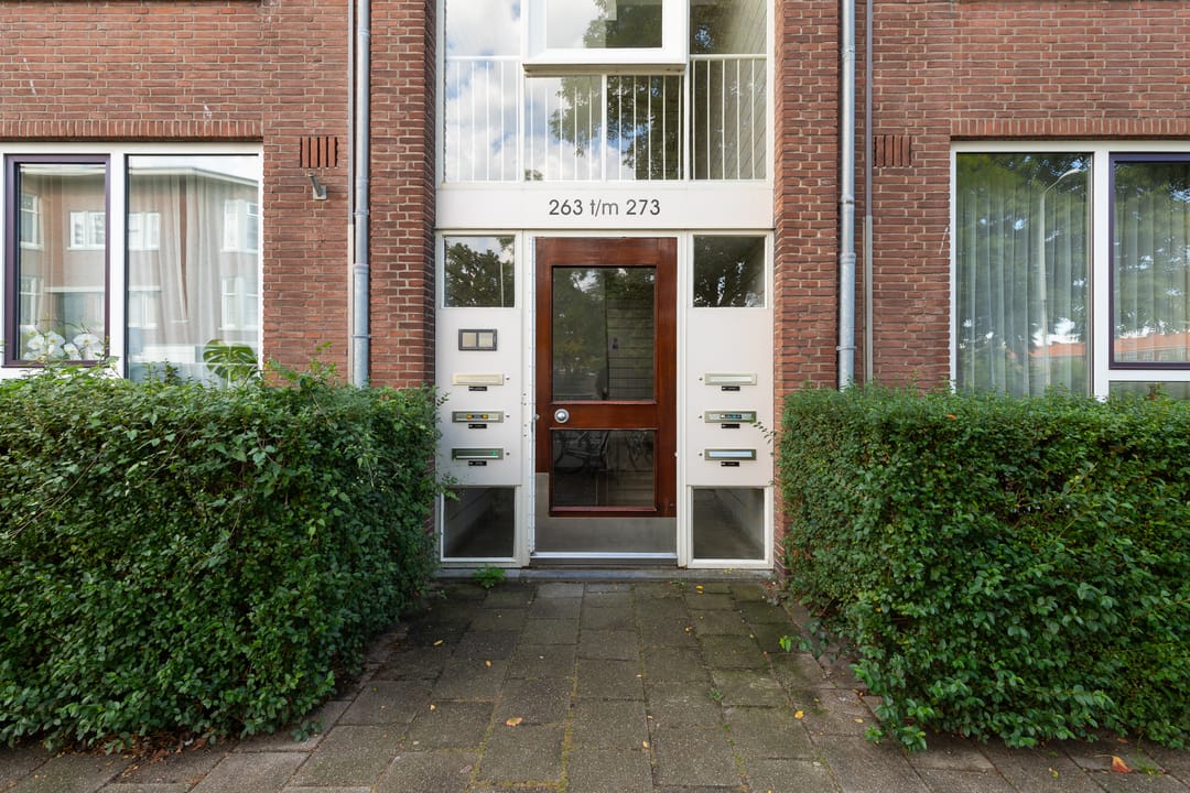 Foto 26 van Theresiastraat 265