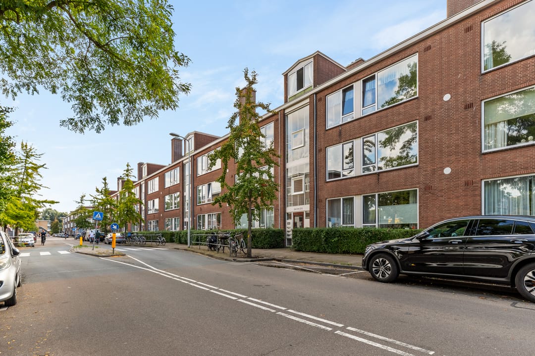 Foto 28 van Theresiastraat 265