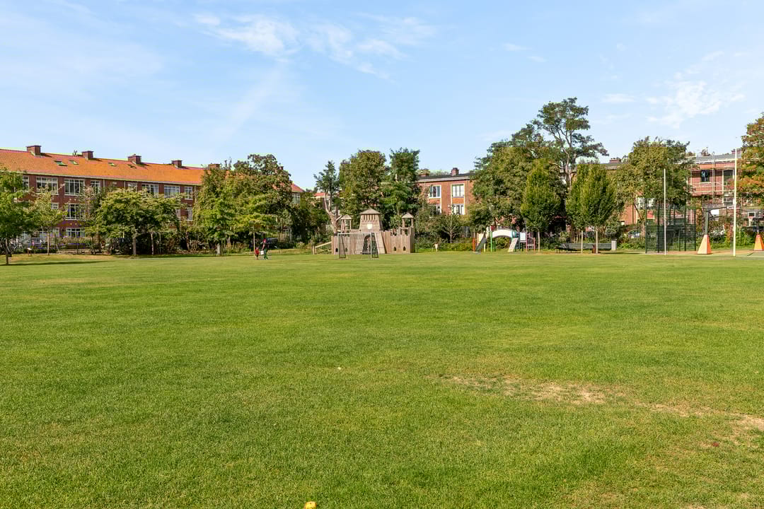 Foto 32 van Theresiastraat 265