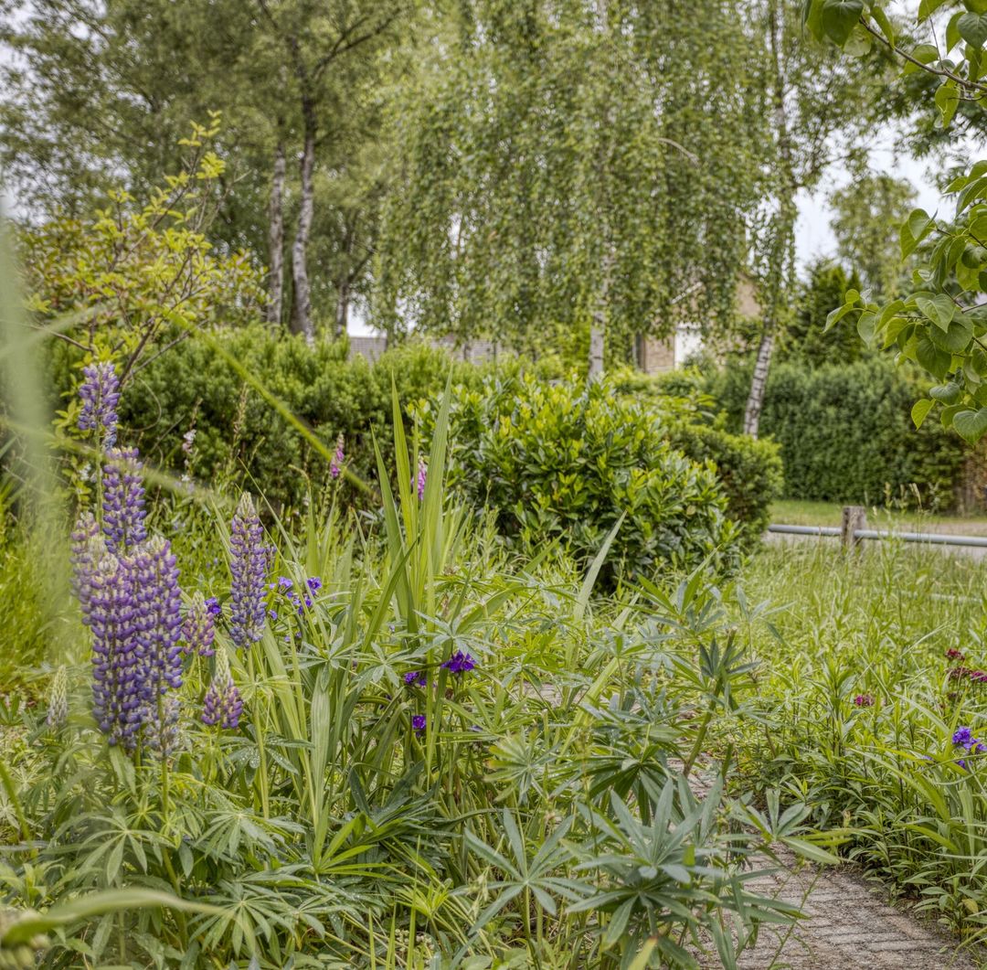 Foto 7 van Bertelindislaan 23