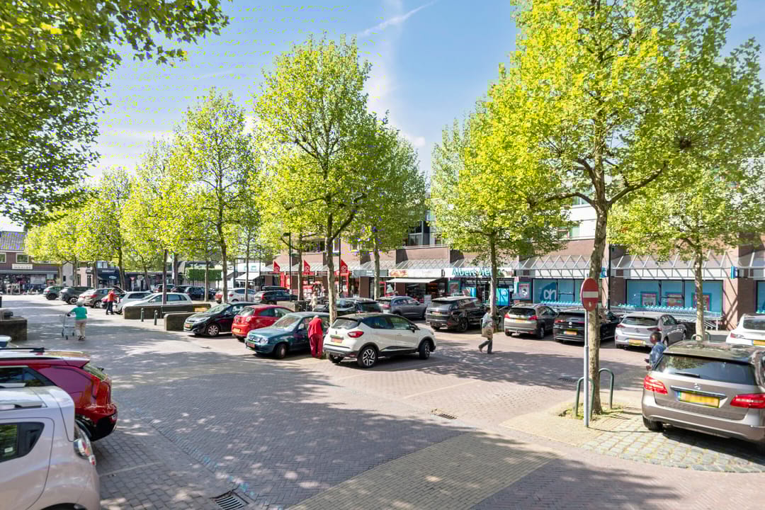 Foto 41 van Bertelindislaan 23