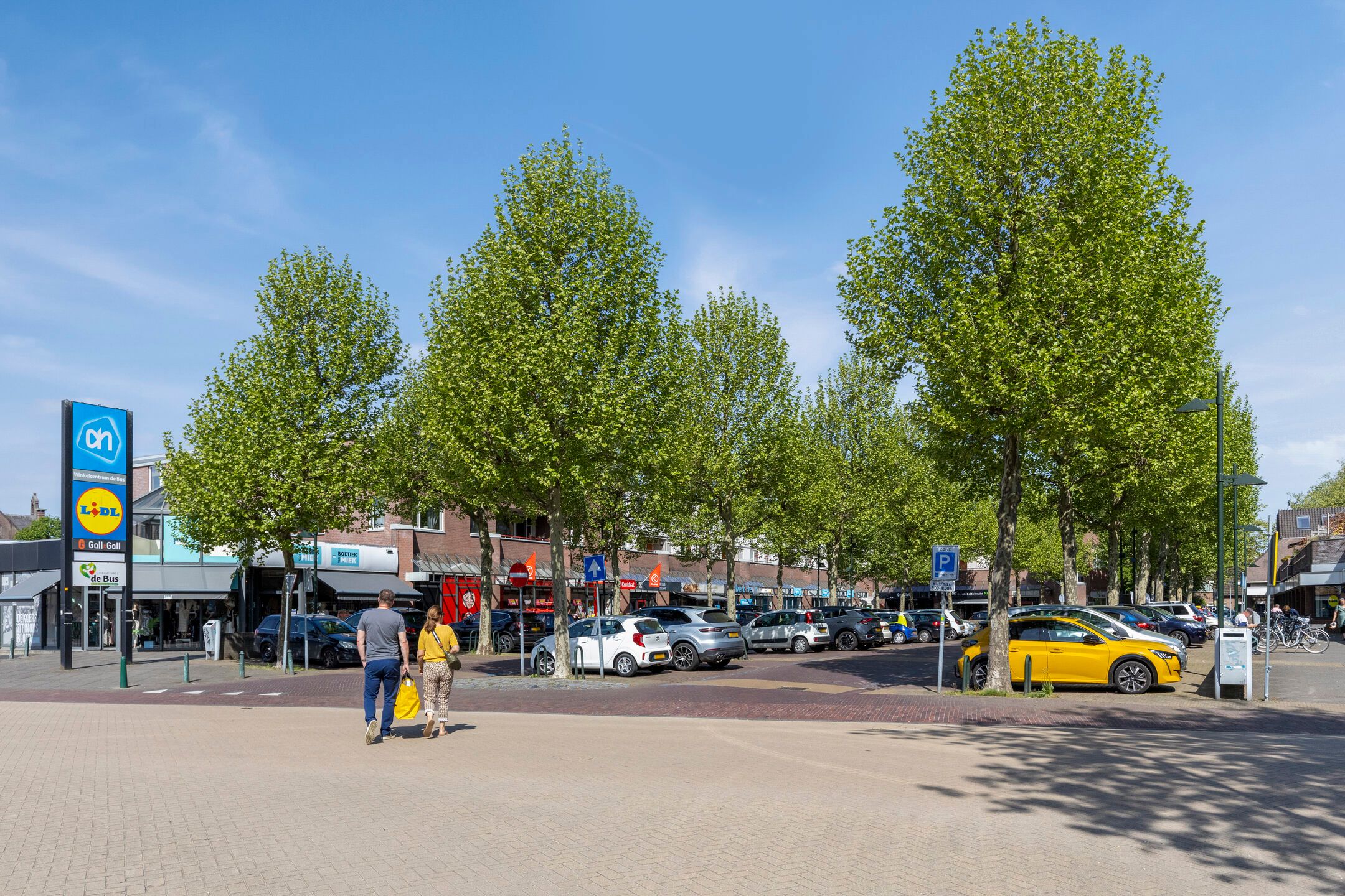 Foto 42 van Bertelindislaan 23