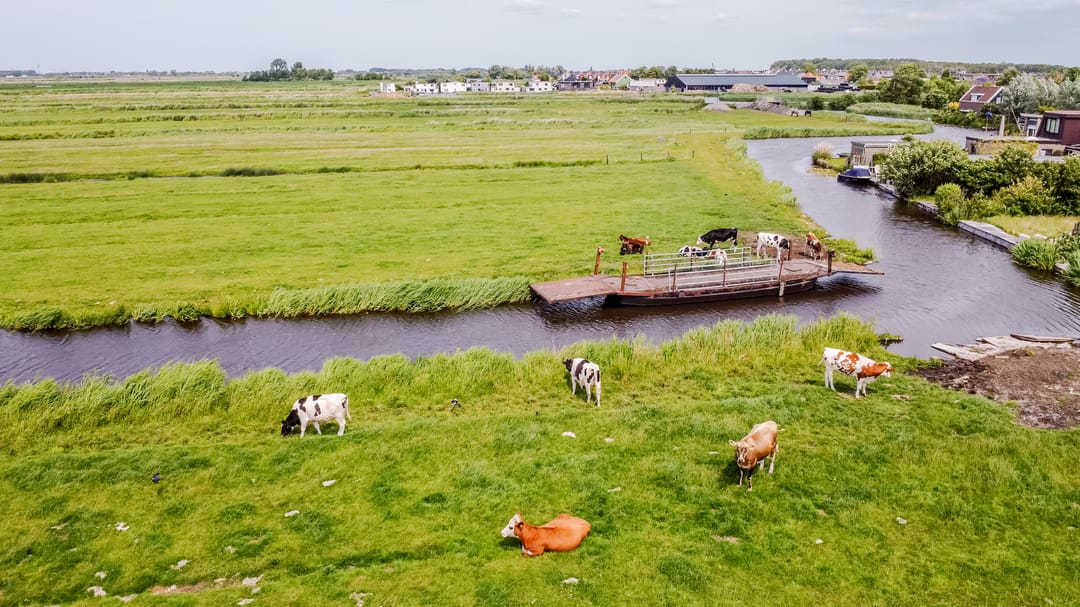 Foto 2 van Burgemeester Teerstraat 17