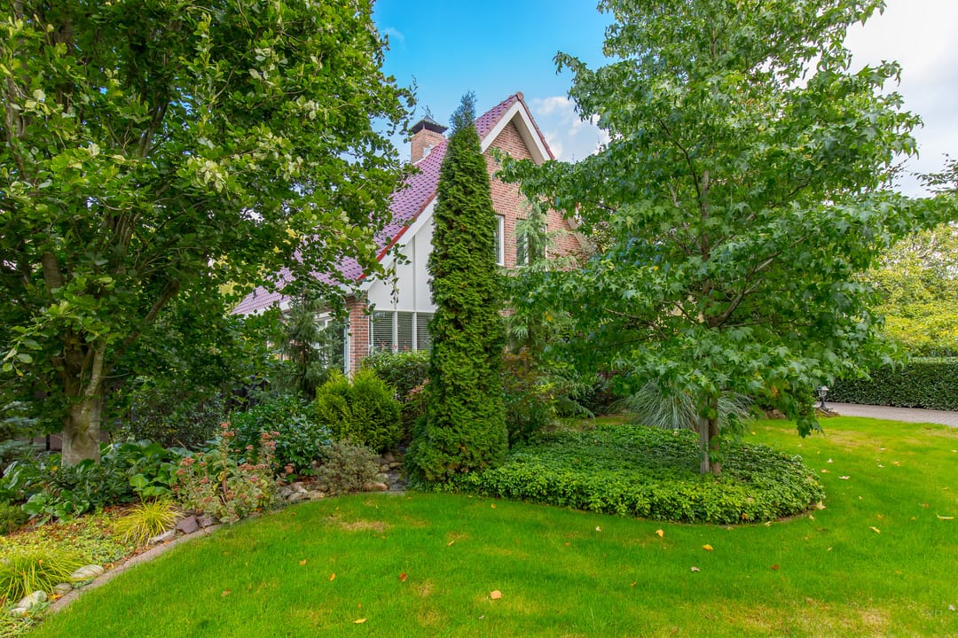 Foto 11 van Zuiderdiep 448-A