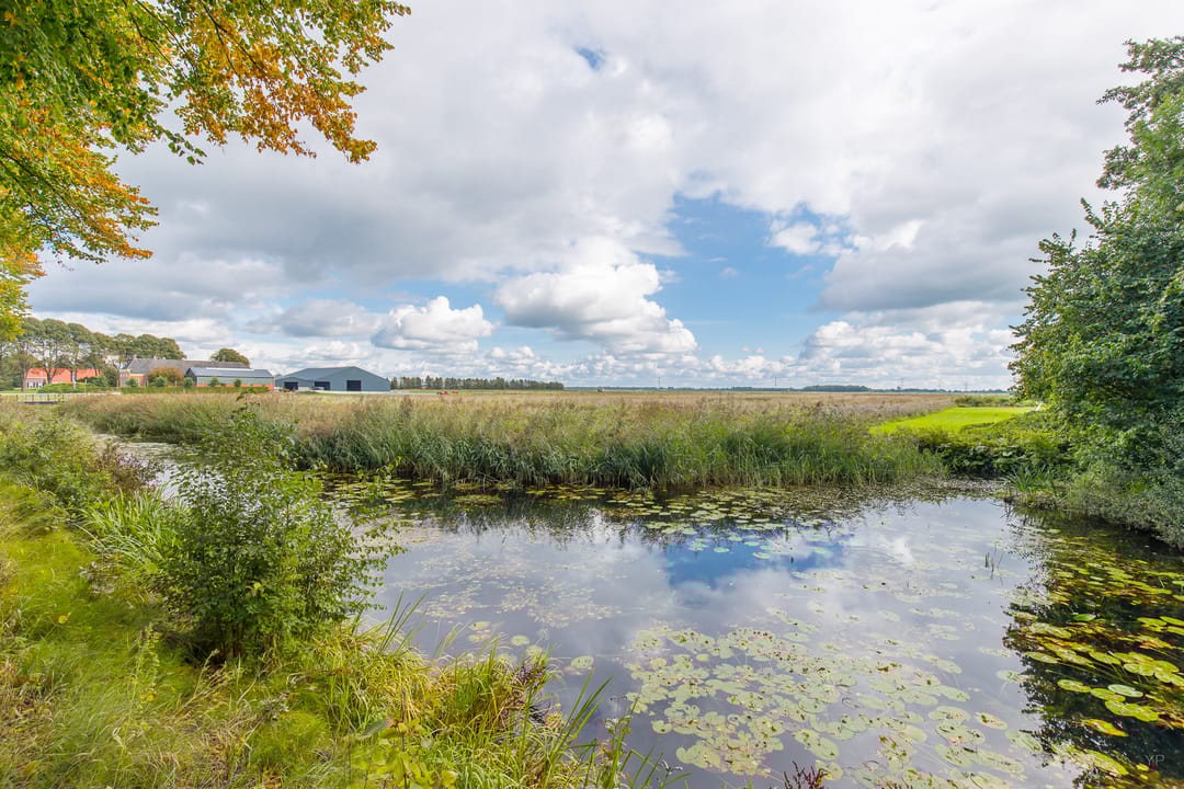 Foto 13 van Zuiderdiep 448-A