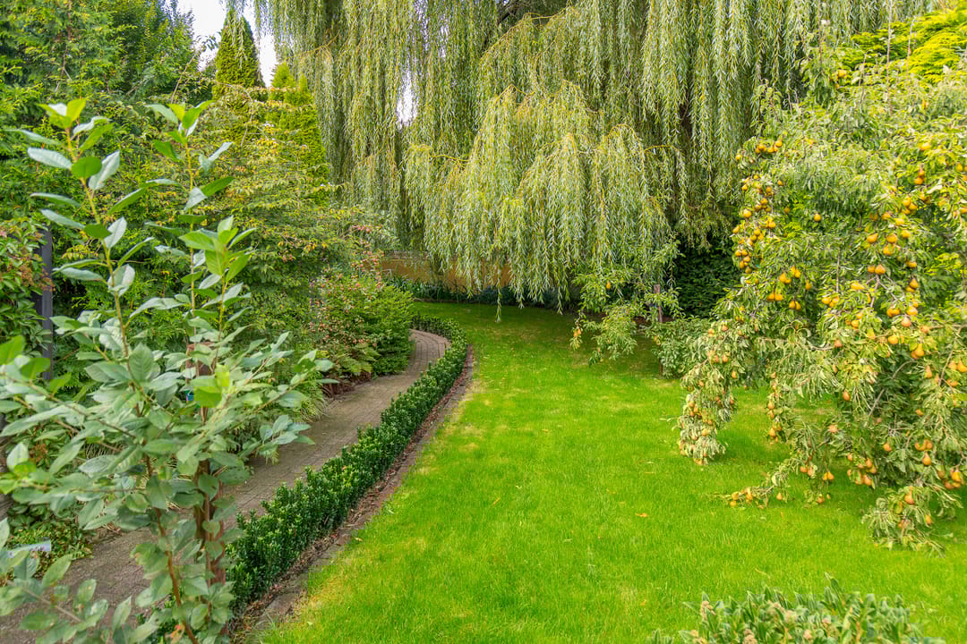 Foto 58 van Zuiderdiep 448-A