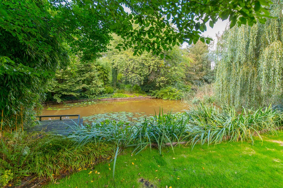 Foto 61 van Zuiderdiep 448-A