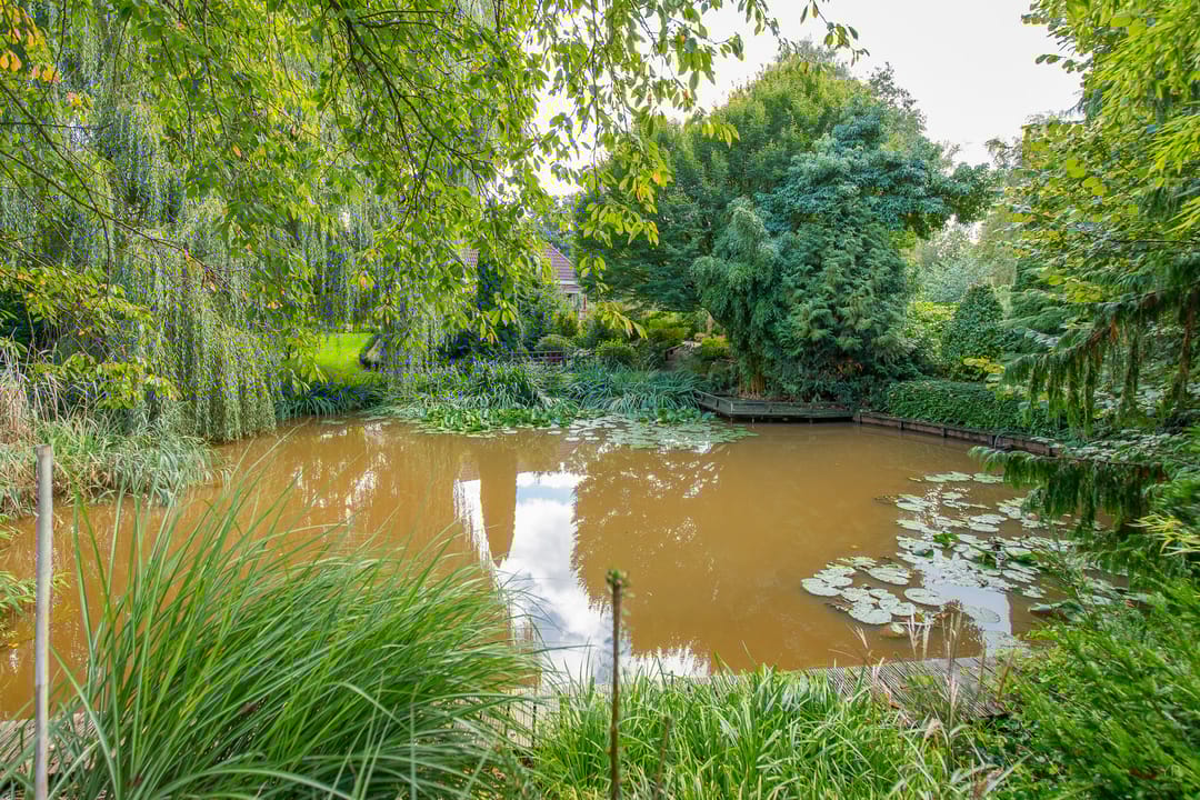 Foto 68 van Zuiderdiep 448-A