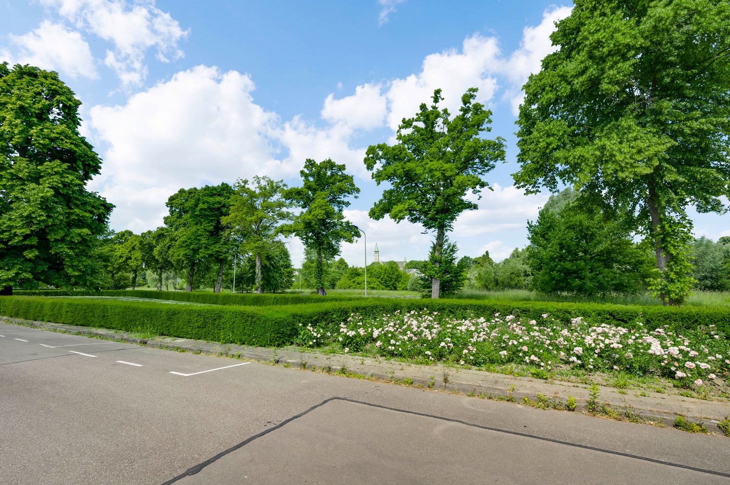 Foto 5 van Wijngaardstraat 13