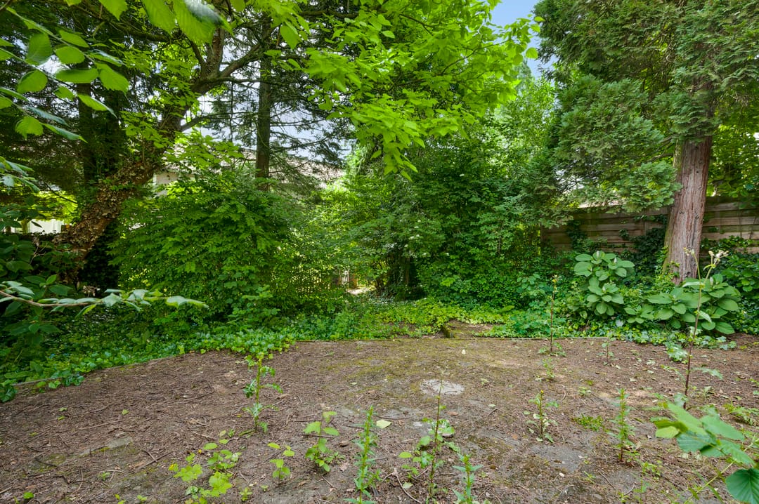 Foto 16 van Wijngaardstraat 13