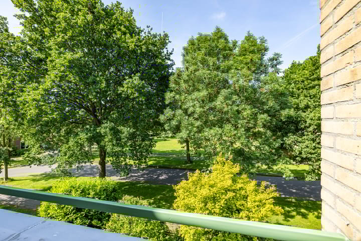 Foto 22 van Braamstukken 118