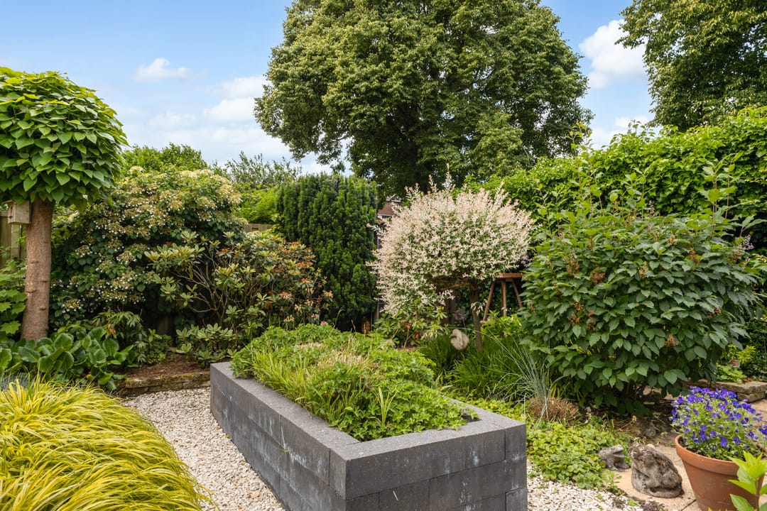 Foto 41 van Bentinckstraat 14