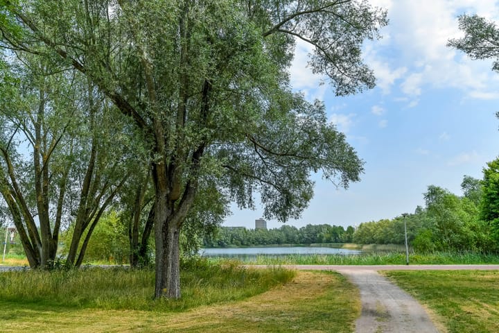 Foto 26 van Orionsingel 316