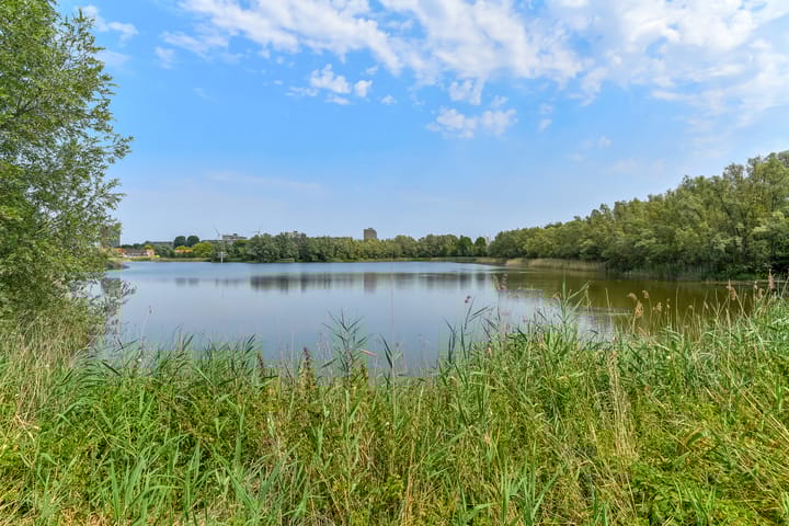 Foto 27 van Orionsingel 316