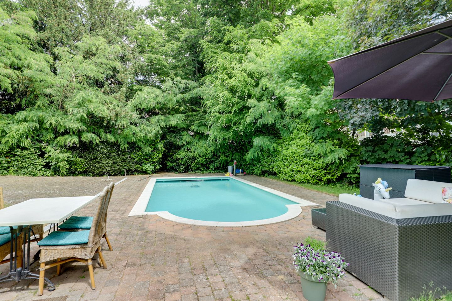 Foto 40 van Wilhelminapark 26