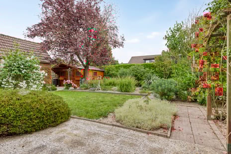 Reigerstraat 3 tertiary image