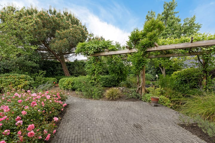 Foto 4 van Dopheide 23