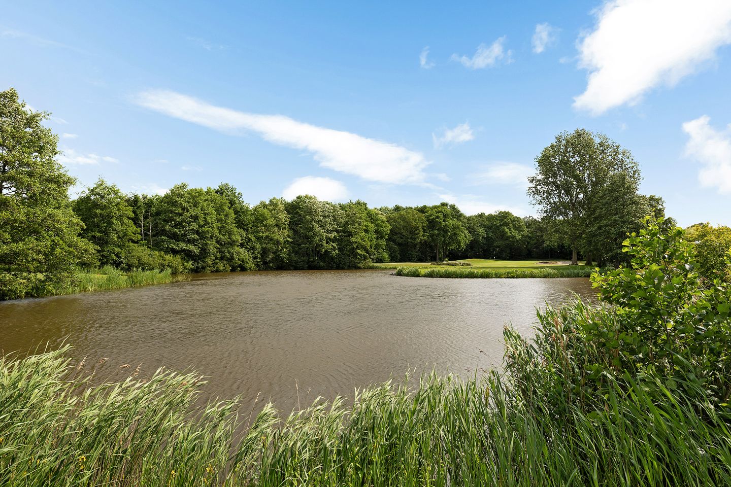 Foto 5 van Dopheide 23