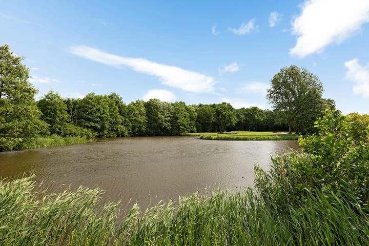 Foto 5 van Dopheide 23