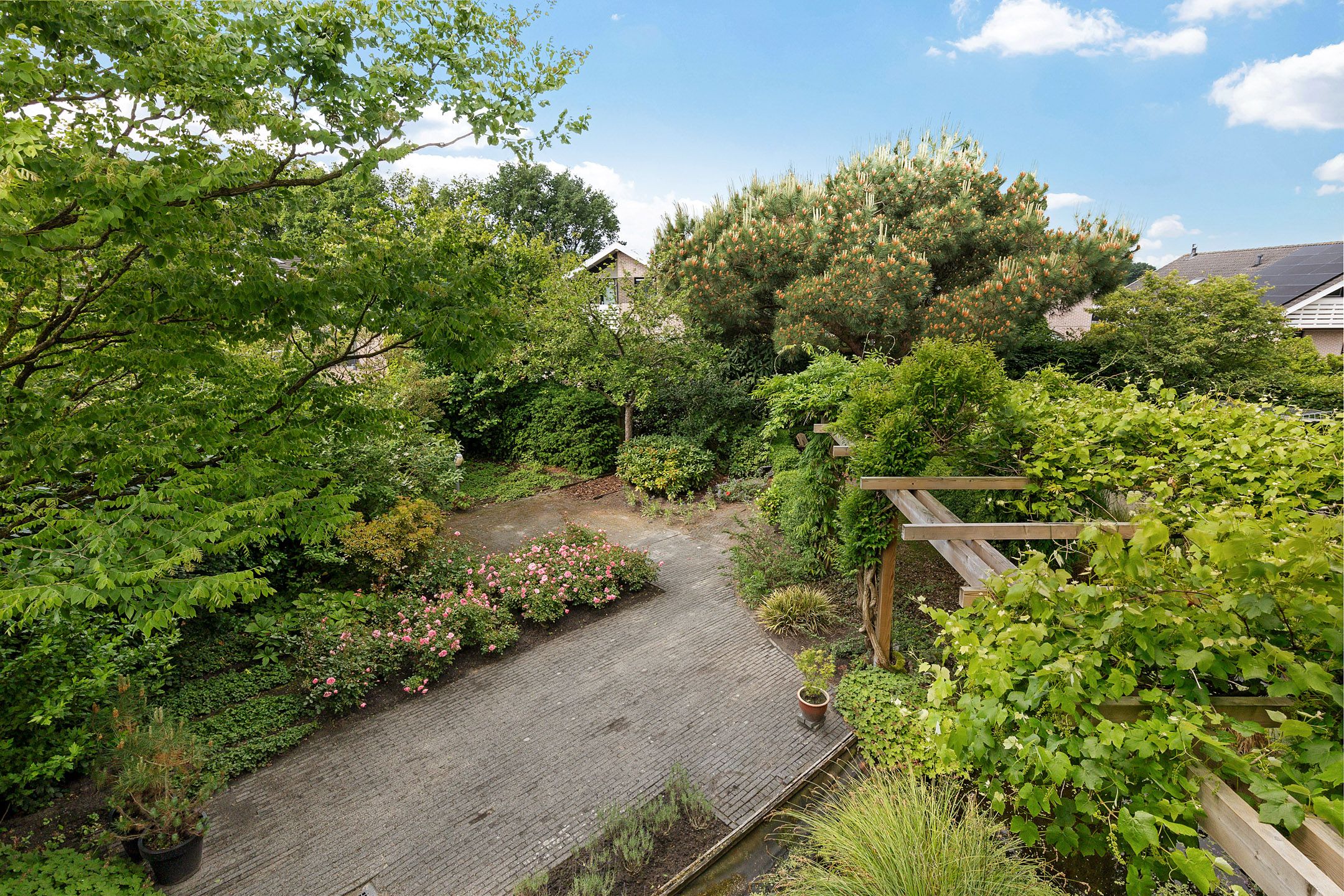 Foto 39 van Dopheide 23