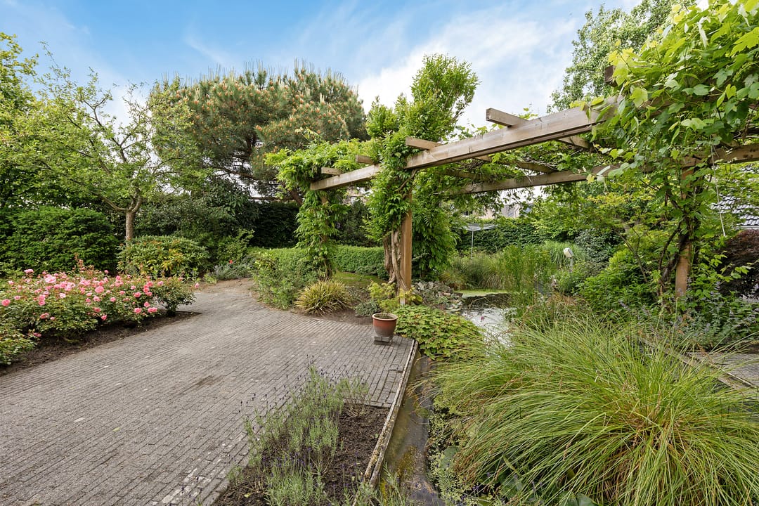 Foto 41 van Dopheide 23