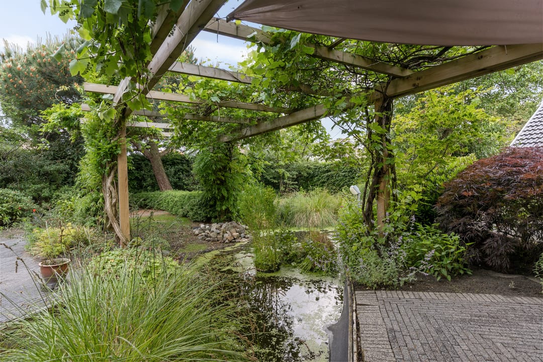 Foto 46 van Dopheide 23