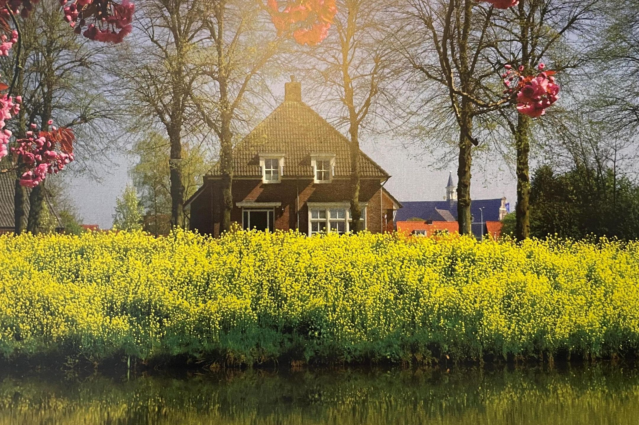 Foto 45 van G.W. Lovendaalsingel 52