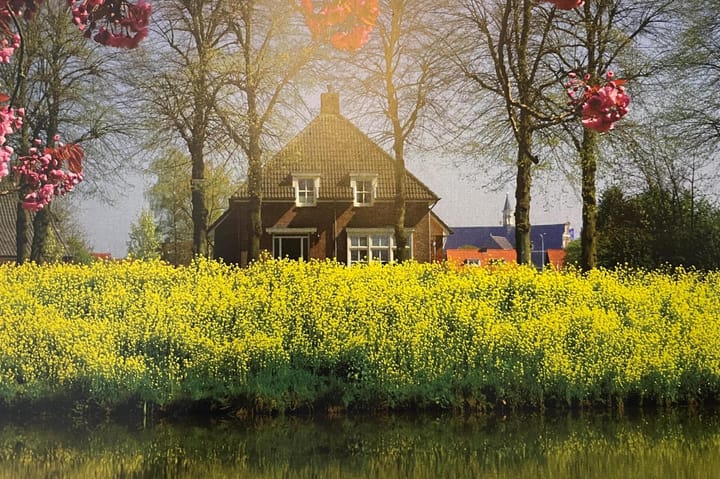 Foto 45 van G.W. Lovendaalsingel 52