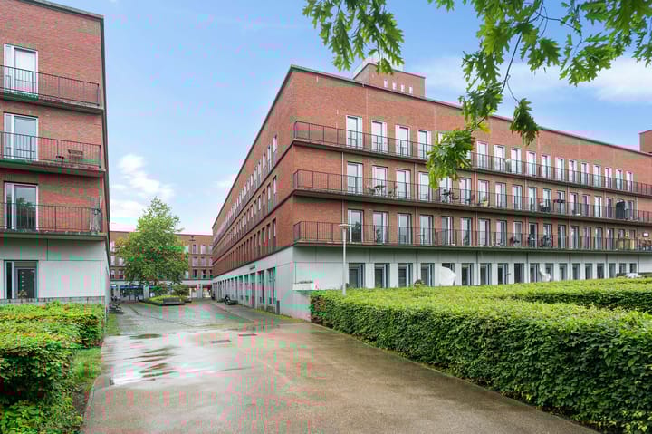 Pijlpunt 42