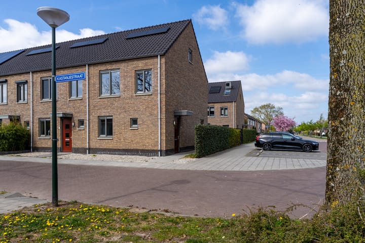 Foto 1 van Kastanjestraat 31