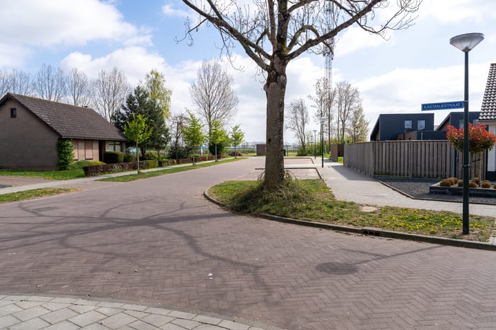 Foto 4 van Kastanjestraat 31