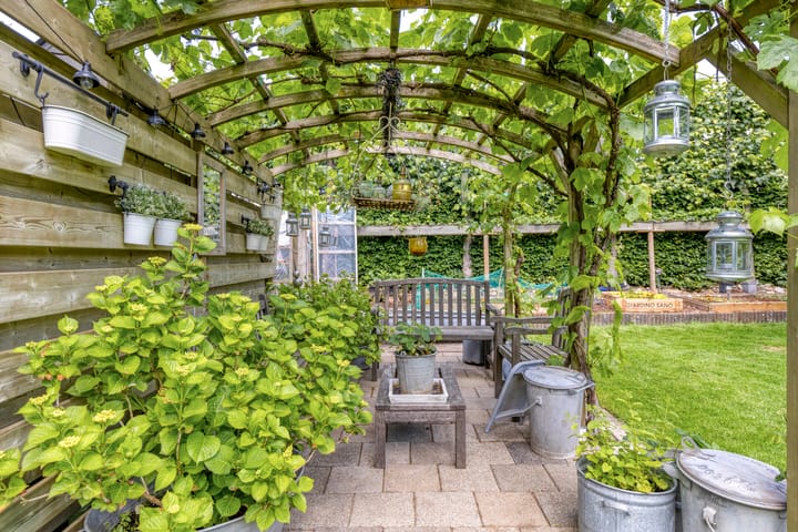 Foto 26 van Hegge 32