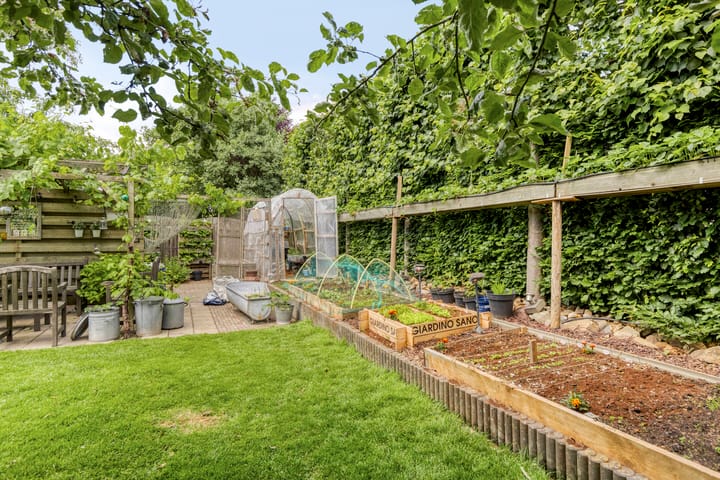 Foto 49 van Hegge 32