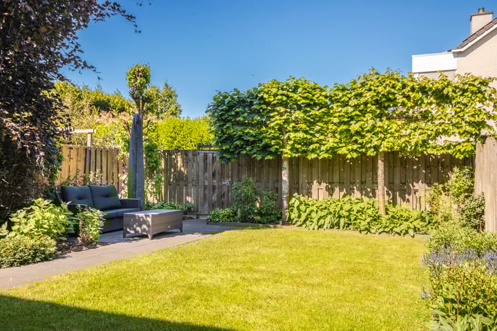 Foto 20 van Spinet 29