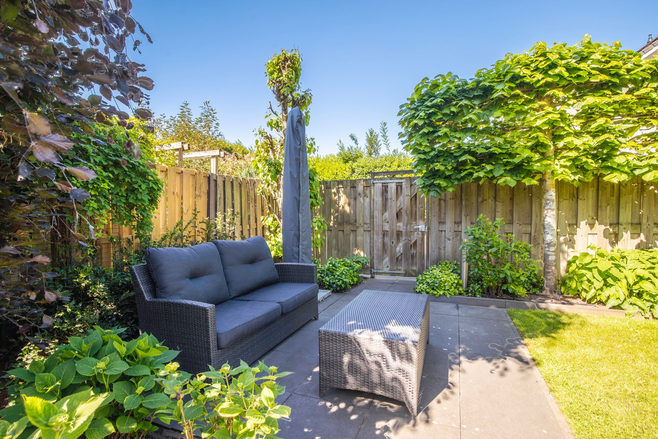 Photo 21 of Spinet 29