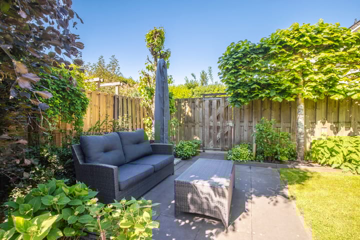 Foto 21 van Spinet 29