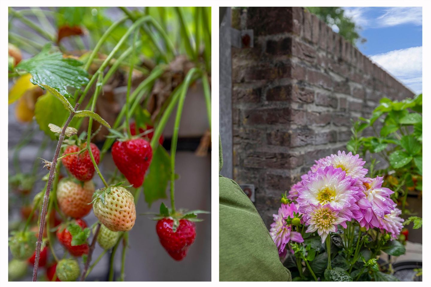 Foto 20 van Vincent van Goghstraat 5-A