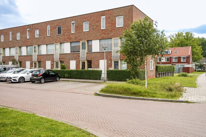 undefined main image