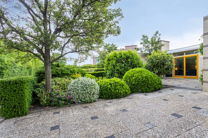 Foto 4 van Schaaksport 121