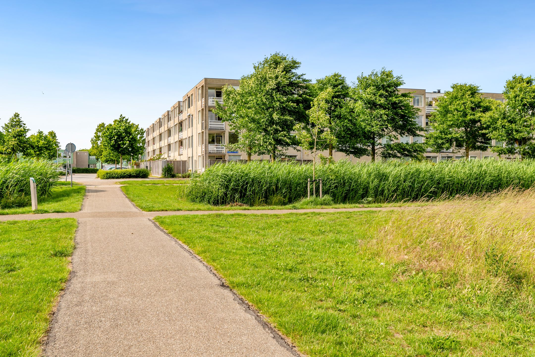 Foto 39 van J.T.P. Bijhouwerhof 83