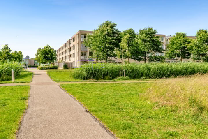 Foto 39 van J.T.P. Bijhouwerhof 83