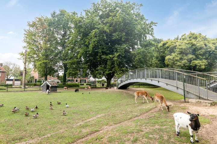 Foto 45 van Herstallenstraat 5