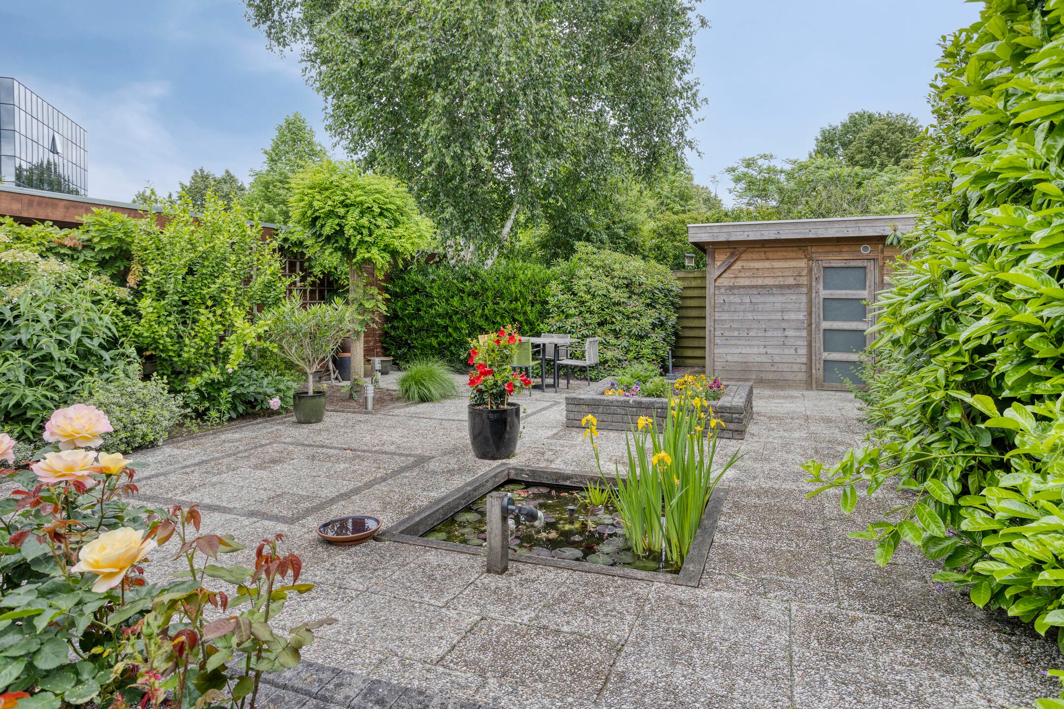 Foto 36 van Schaaksport 121