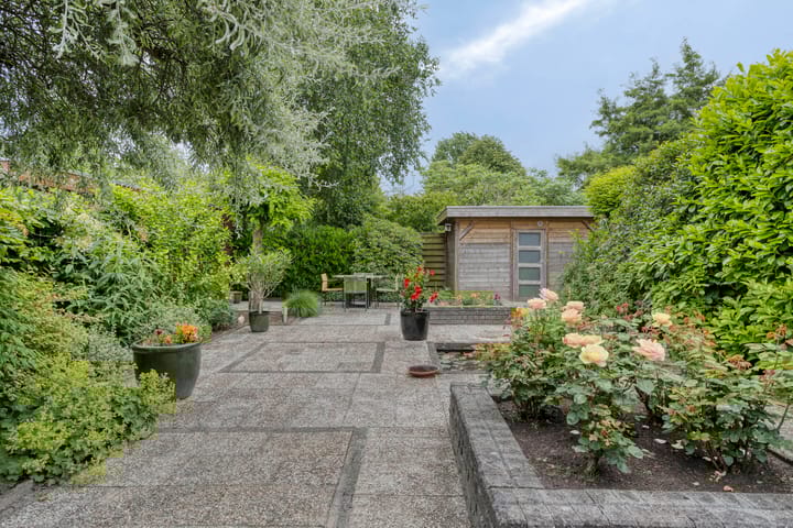 Photo 37 of Schaaksport 121