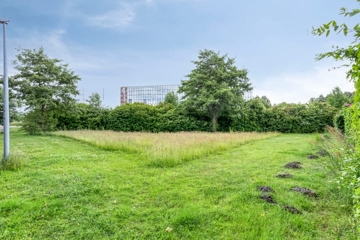 Photo 38 of Schaaksport 121