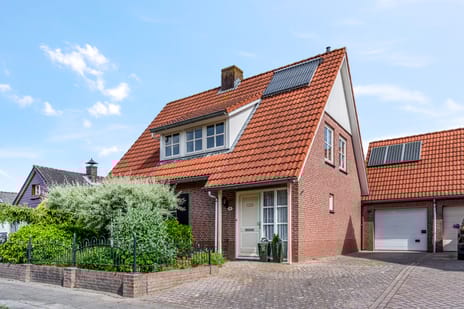 undefined main image