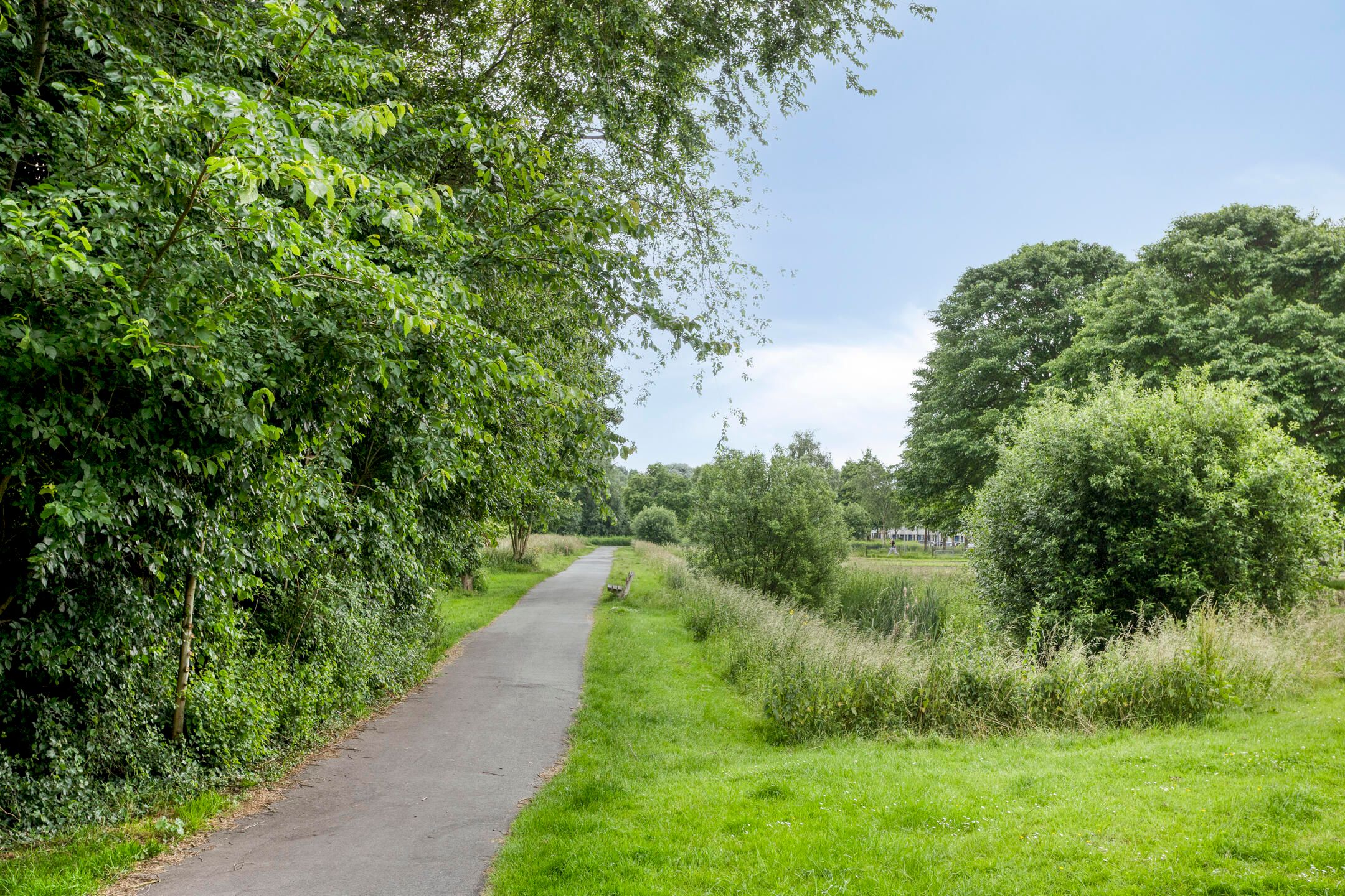 Foto 39 van Schaaksport 121