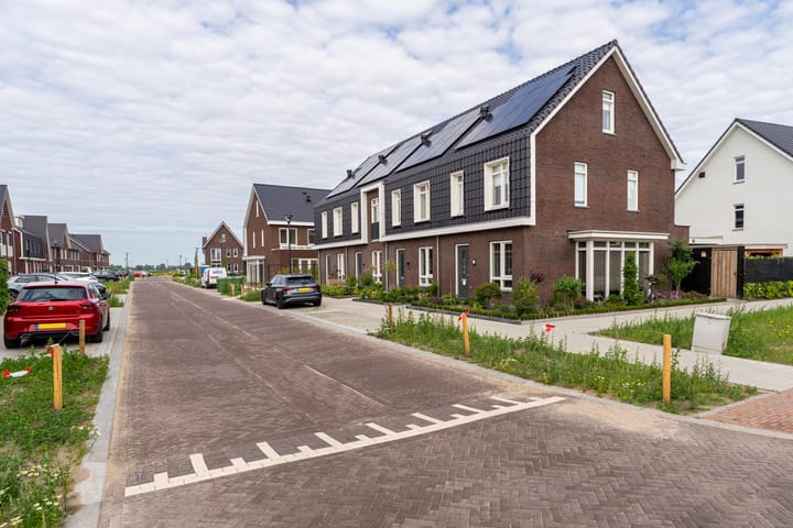 Photo 6 of Zilverlinde 6