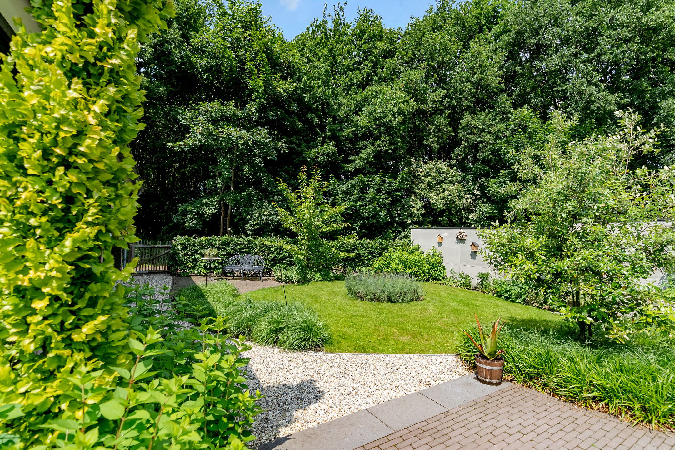 Foto 3 van Uddelerweg 52